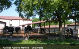 Progetto impianto elettrico per azienda agricola
