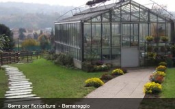 Serra per floricoltura